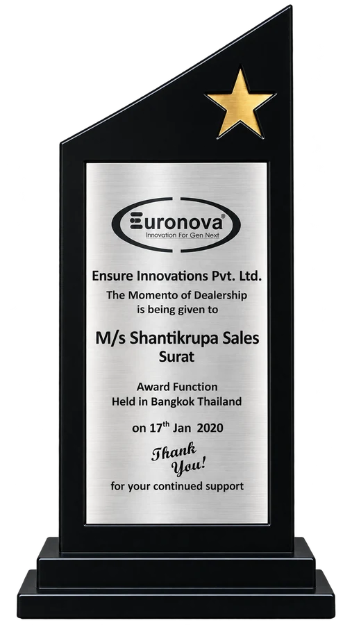 Momento of Dealership — Euronova, 2020